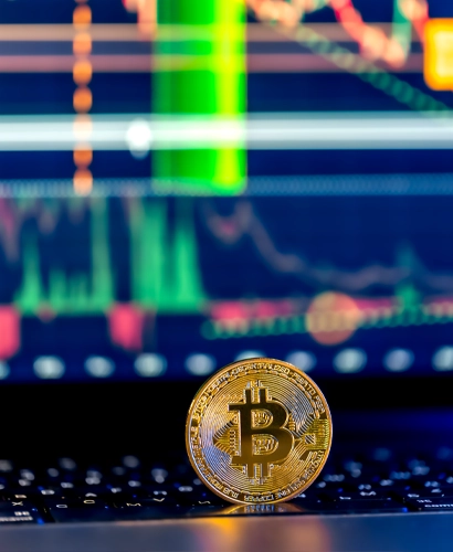 Equipo de Renta Fandkore